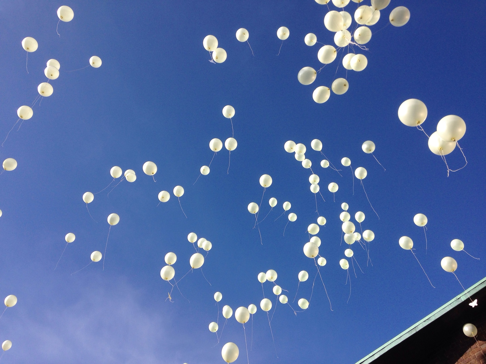 HEFT Memorial Balloon Release
